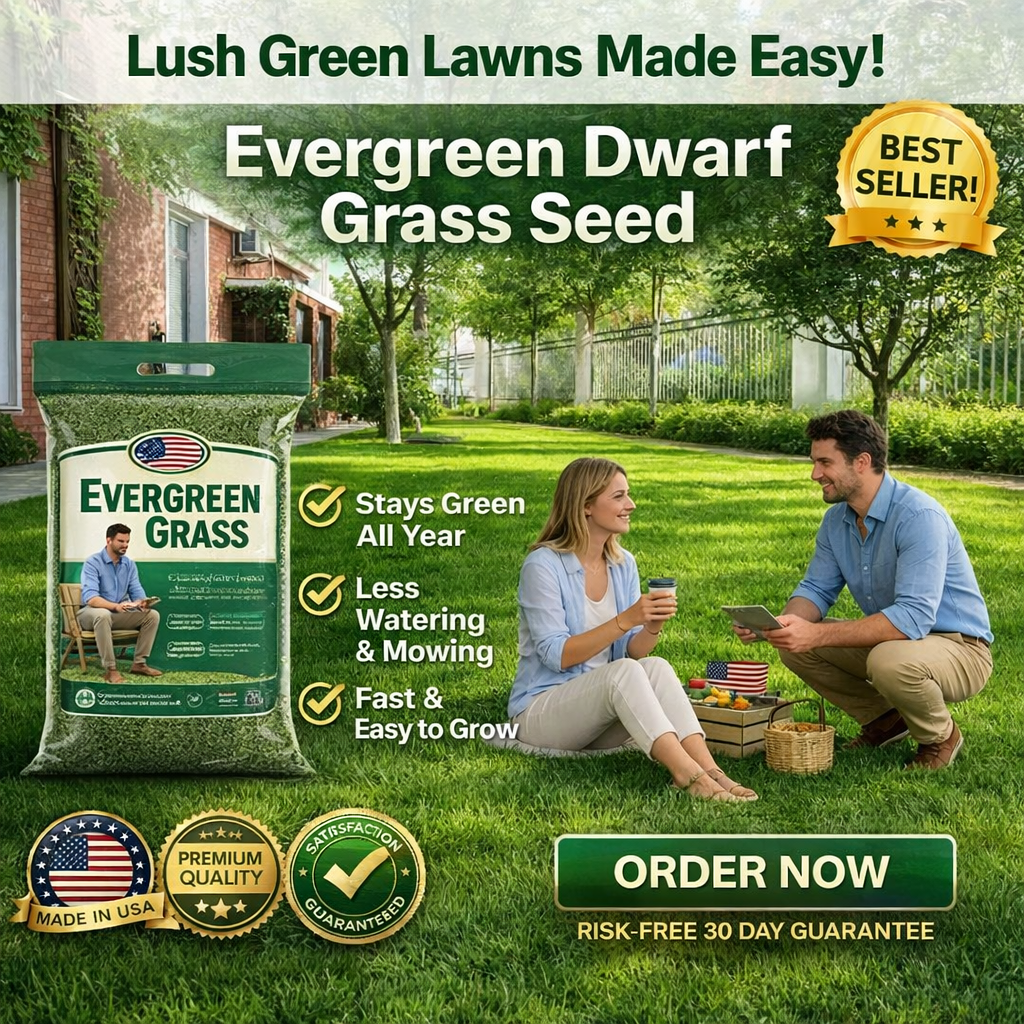 /6a1083aa3d745c0009431f26/2026/05/22/product-img-6a1087ff91ef3d0d28f41808.png