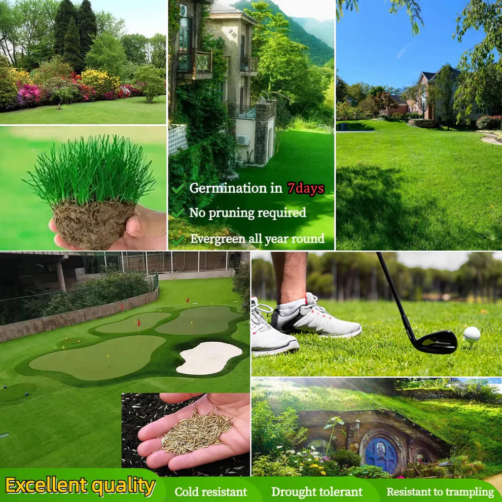 /6a1083aa3d745c0009431f26/2026/05/22/product-img-6a1087ff91ef3d0d28f4180a.png